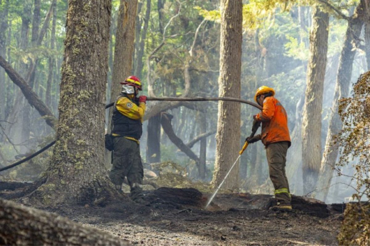 Reserva Corazón de la Isla:  Se trabajó para enfriar tres puntos calientes, uno con presencia de llamas