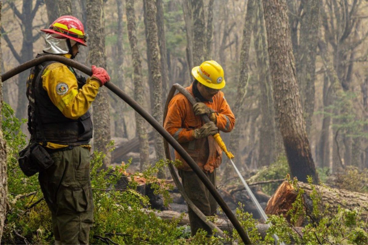 Incendios en la provincia: la línea de control de ambos incendios ha quedado establecida y asegurada