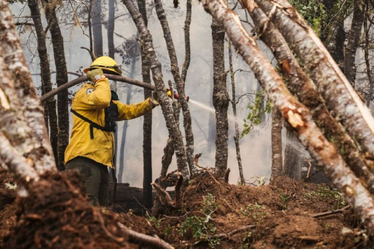 Gobierno informó el estado de situación de los incendios de la provincia