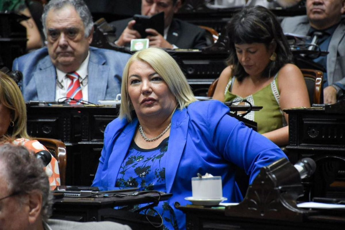"Este proyecto dará previsibilidad y garantías a miles de argentinos a la hora de jubilarse", explicó Bertone