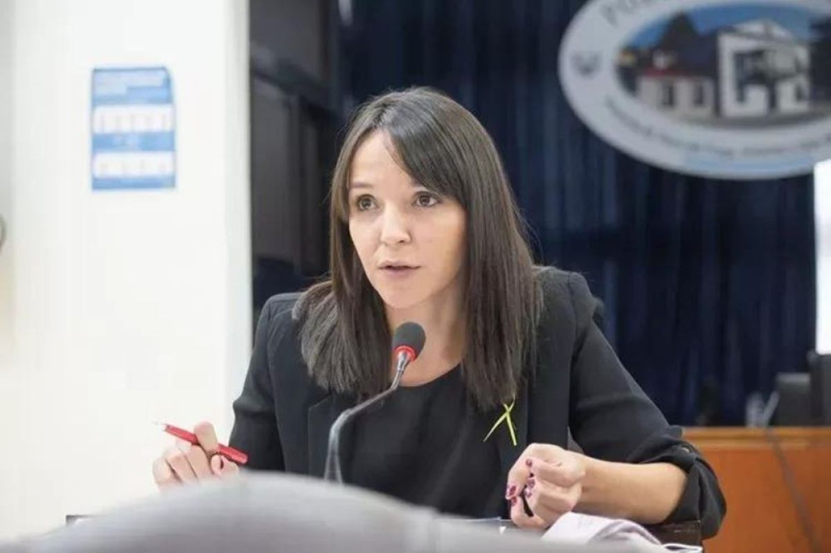 Jornada sanitaria "Sonrisas Fueguinas": "Tuvimos más de mil atenciones en 4 horas", destacó Vuoto