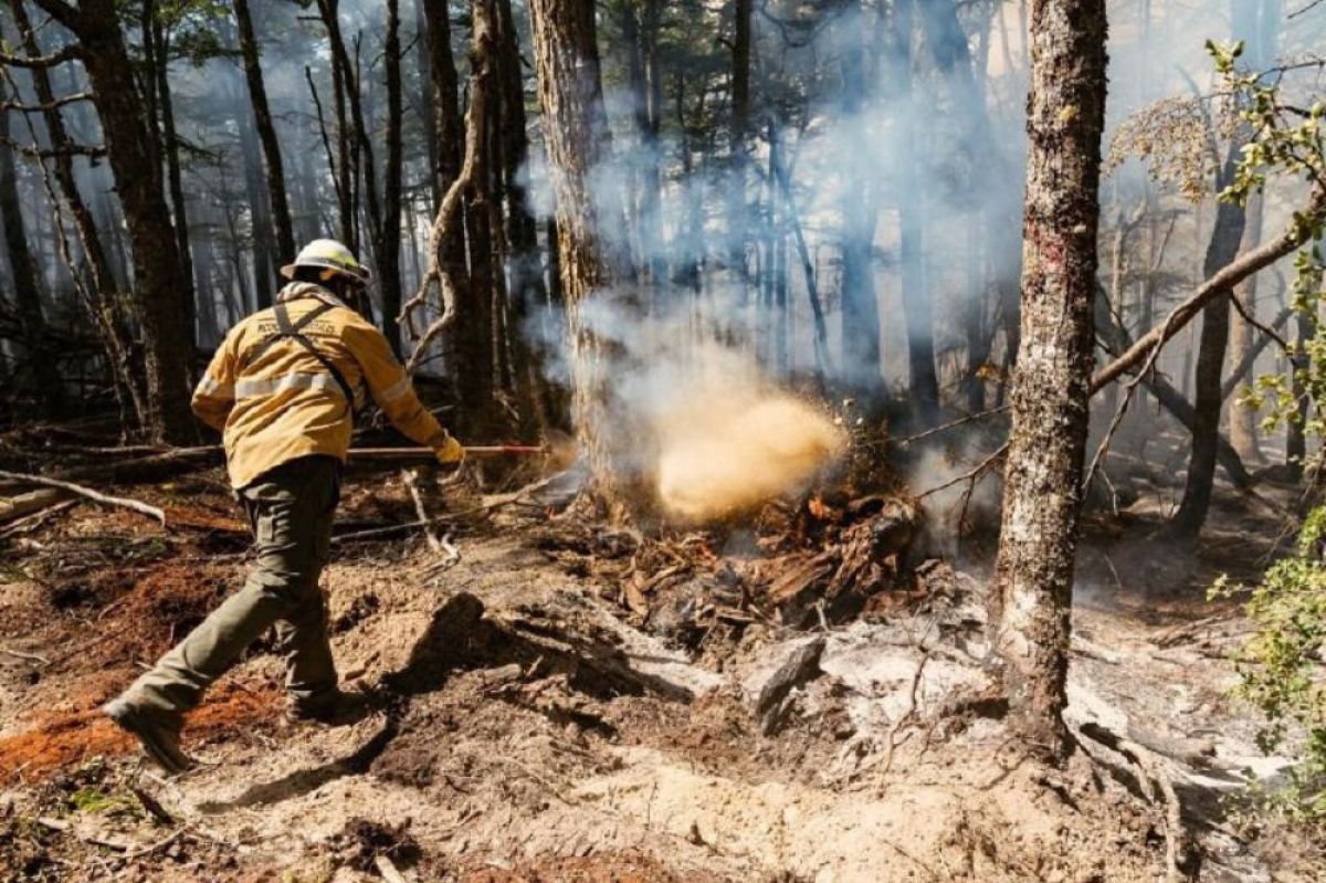 Se encuentra oficialmente extinguido el incendio declarado en la zona del río Lainez