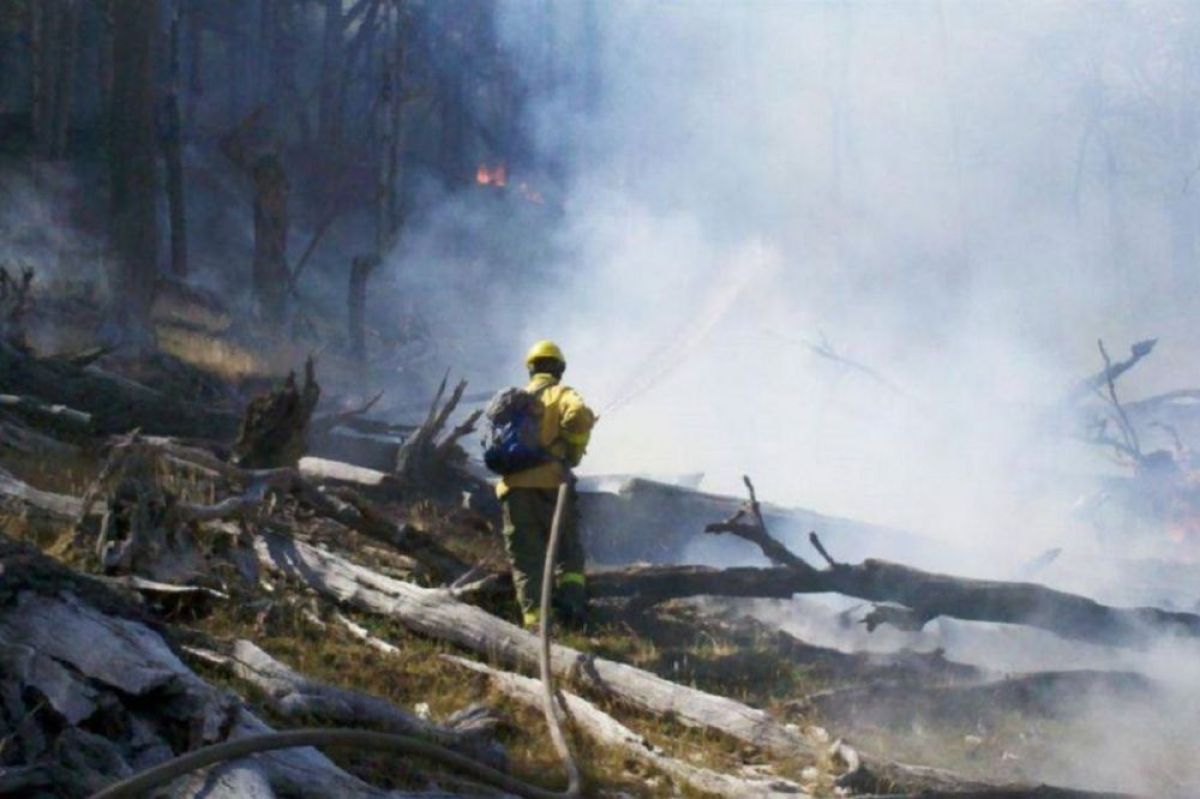 Continúa la etapa de prueba en la investigación por el incendio en la Reserva provincial Corazón de la Isla