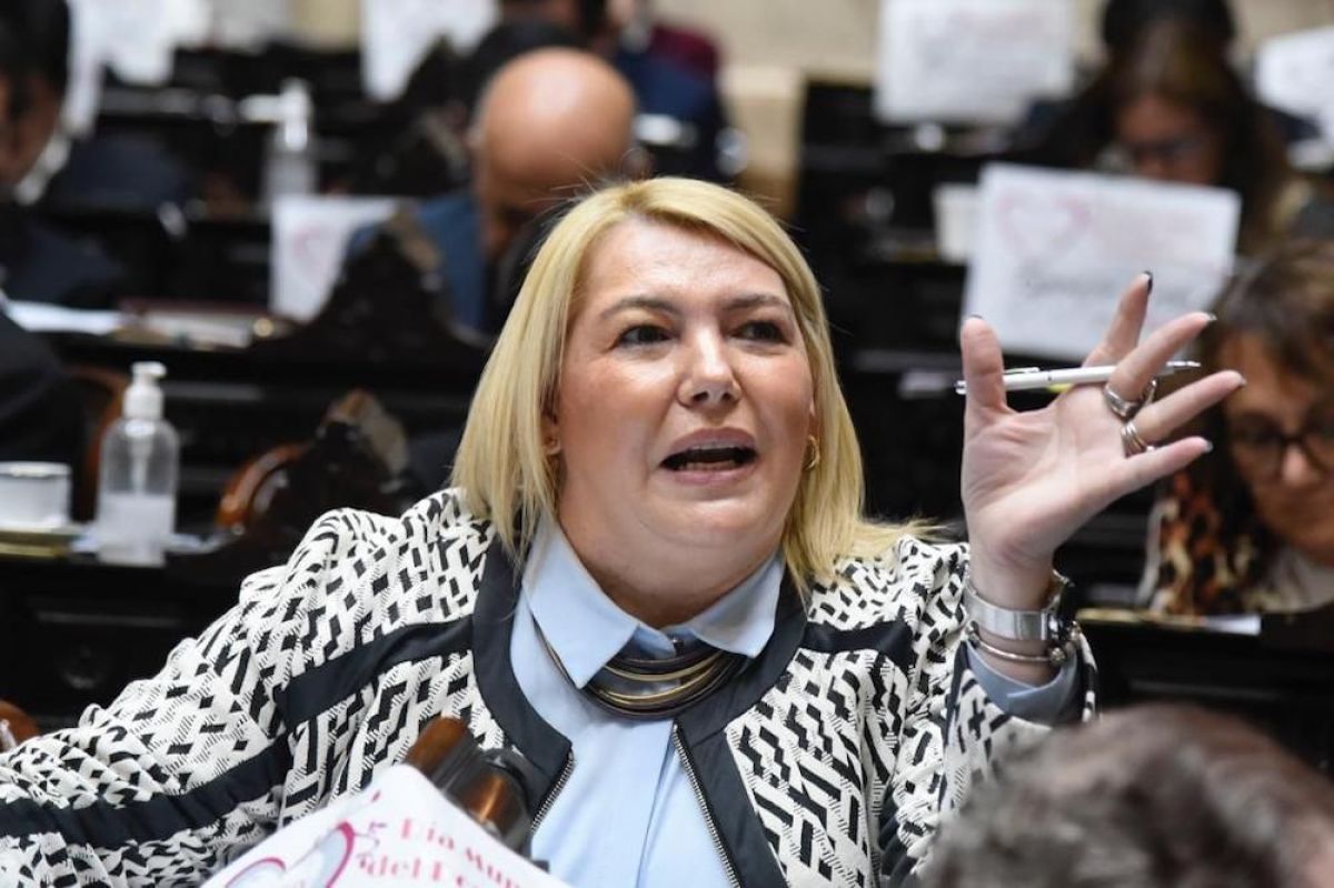 "Vamos a presentar una alternativa electoral para Tierra del Fuego", adelantó Bertone
