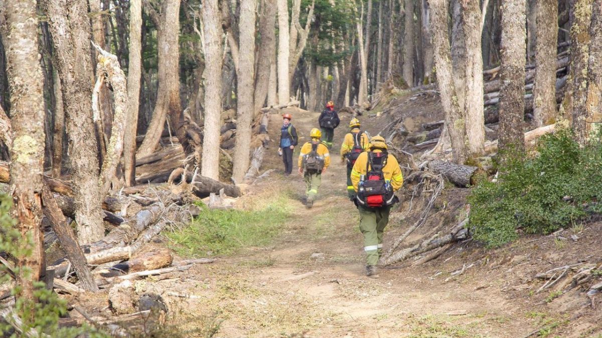 Gobierno recordó que la entrada a la Reserva provincial "Corazón de la Isla" se encuentra cerrada