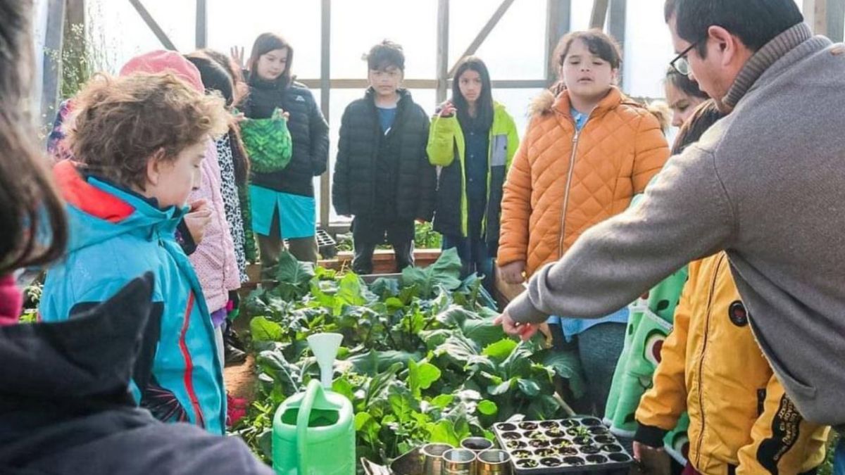 El municipio brinda talleres de agroecología en la escuela experimental Los Ñires