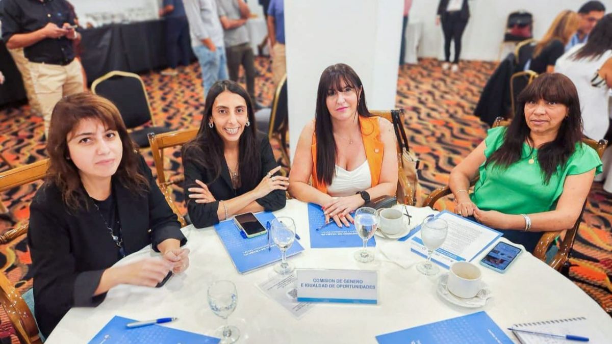 La Provincia participó de la reunión plenaria del Consejo Federal del Trabajo