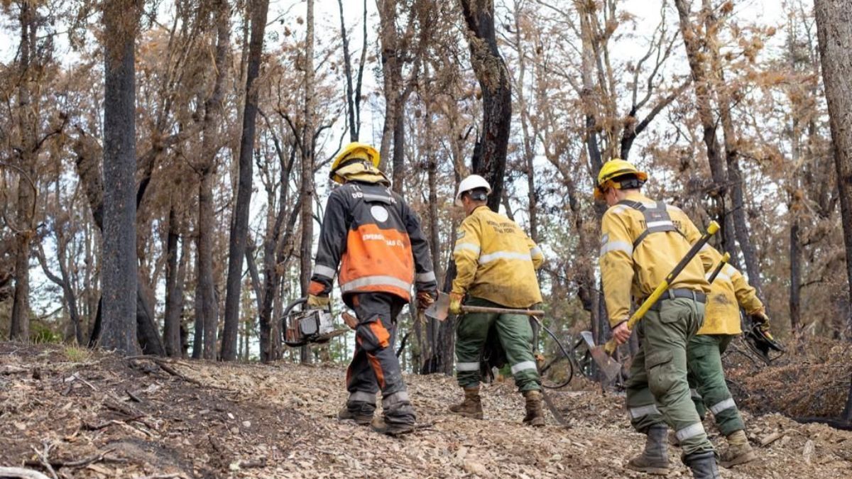   “Creemos que falta muy poco para extinguir el incendio en la Reserva provincial Corazón de la Isla"
