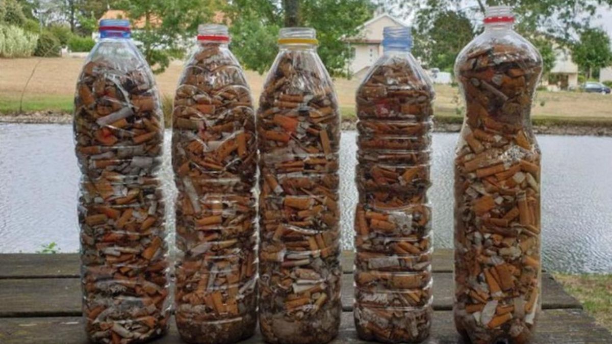 En tres semanas se recolectaron más de 250 mil colillas