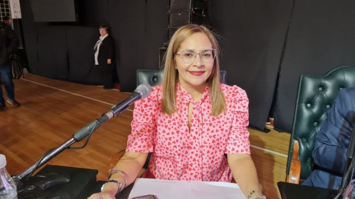"Quisiera llevar nuestros proyectos a la Legislatura", dijo Susñar 