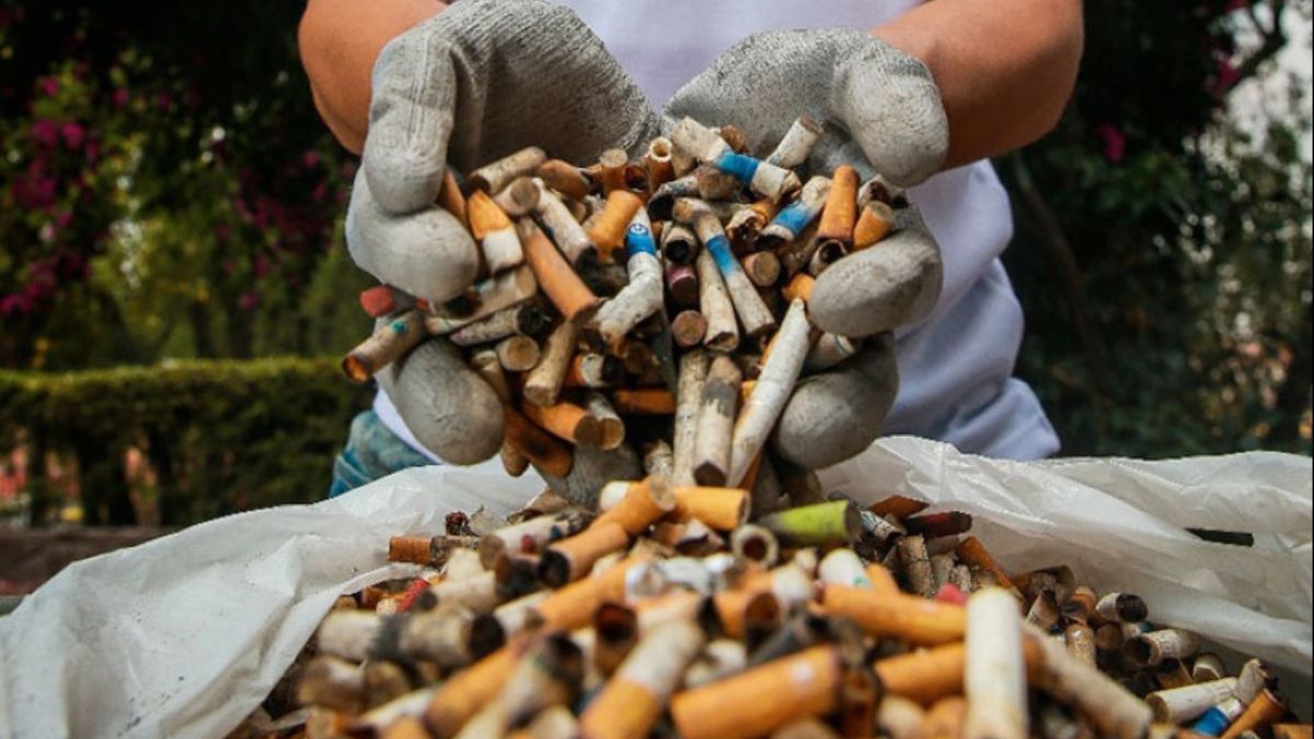 Se recolectaron más de 300 mil colillas con la campaña "Marzo sin Colillas"