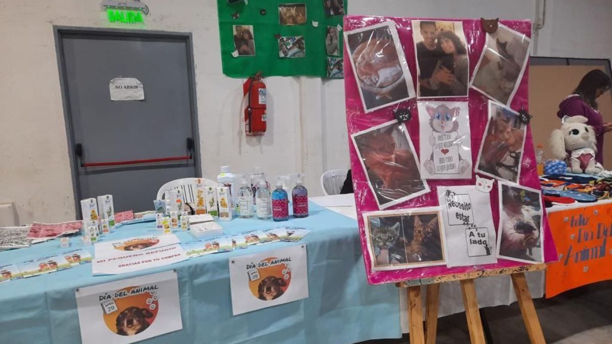 En Ushuaia, se realizó la Expo Feria del Día del Animal