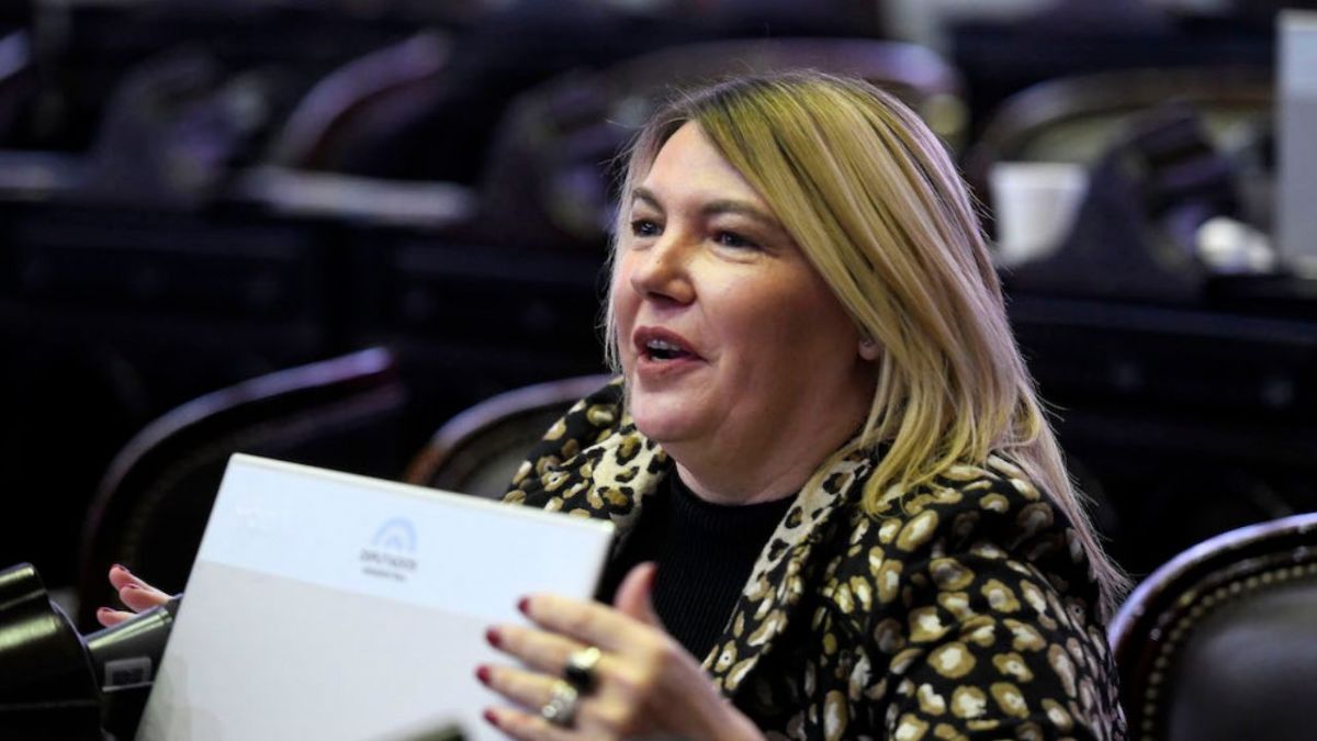 “Necesitamos tener diferentes voces en la legislatura”, opinó Bertone