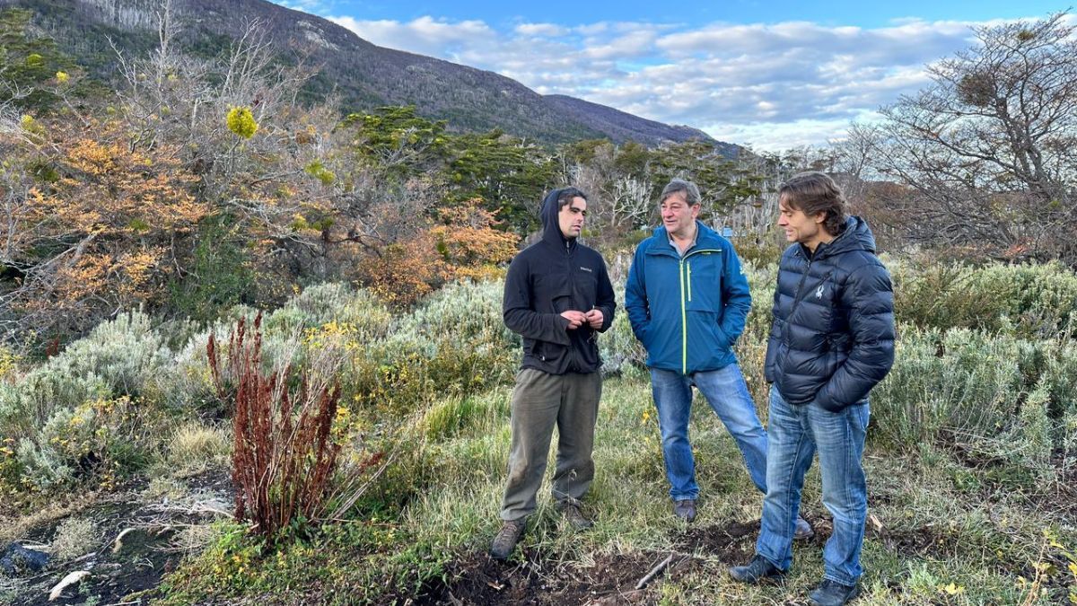“El Estado tiene un rol determinante apoyando y facilitando los proyectos"