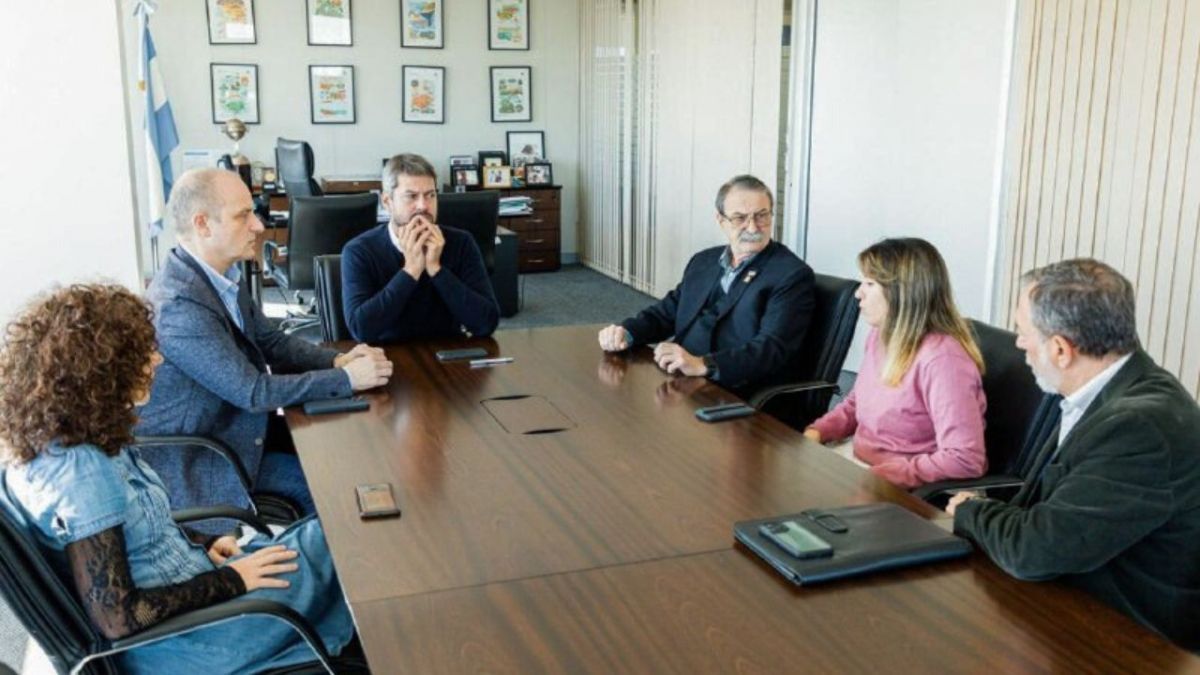 Abrieron los sobres de la licitación para la construcción de los muelles para catamaranes 