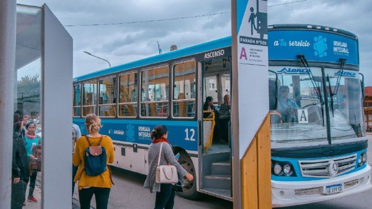 Por las elecciones, este domingo estará disponible el servicio de colectivos de forma gratuita