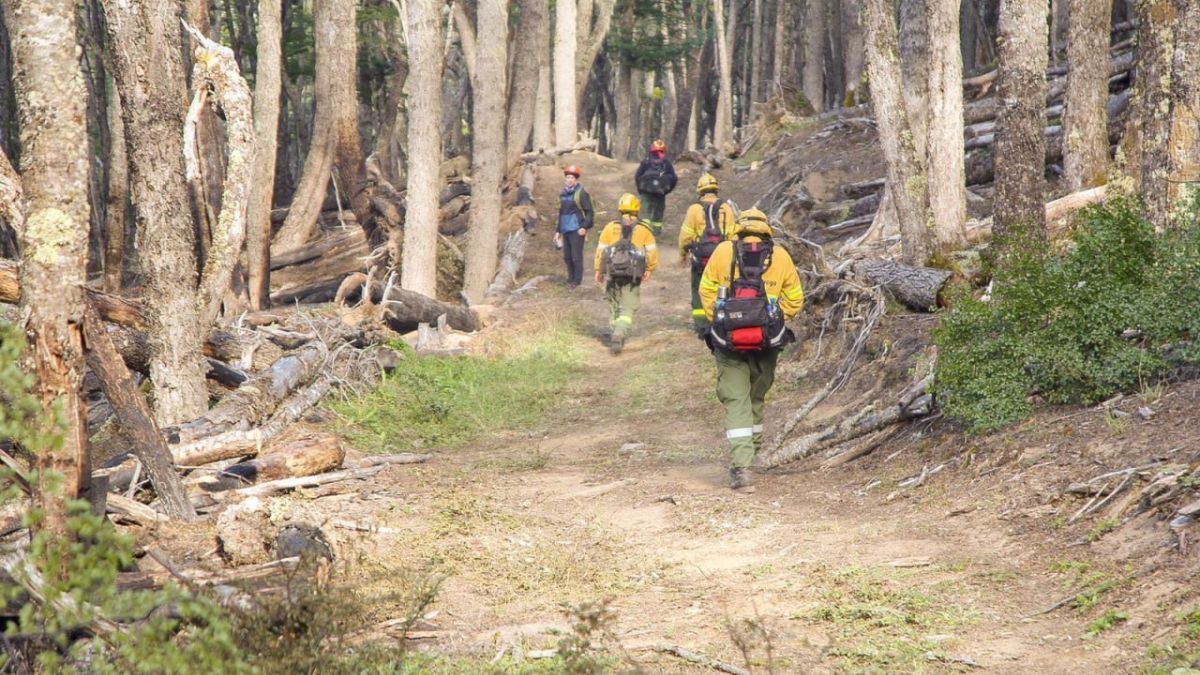 Oficialmente se encuentra extinguido el incendio de la Reserva provincial "Corazón de la Isla"
