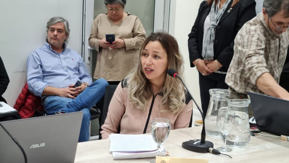Organización civil expresó preocupación y formuló propuesta sobre la problemática de perros sueltos