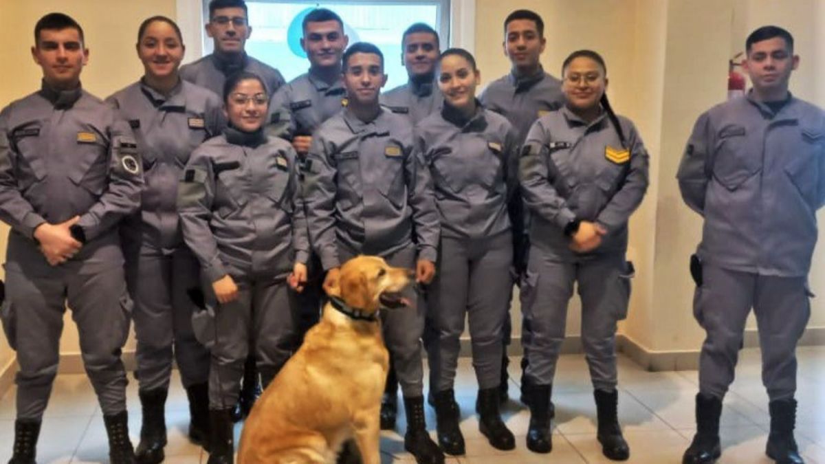 Se realizó la ceremonia de cierre del Primer Curso Básico de Guía de Canes 