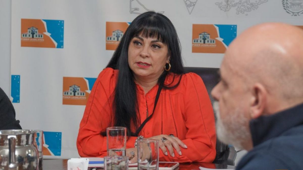 Mónica Acosta asumió la titularidad de la Comisión de Salud de la Legislatura